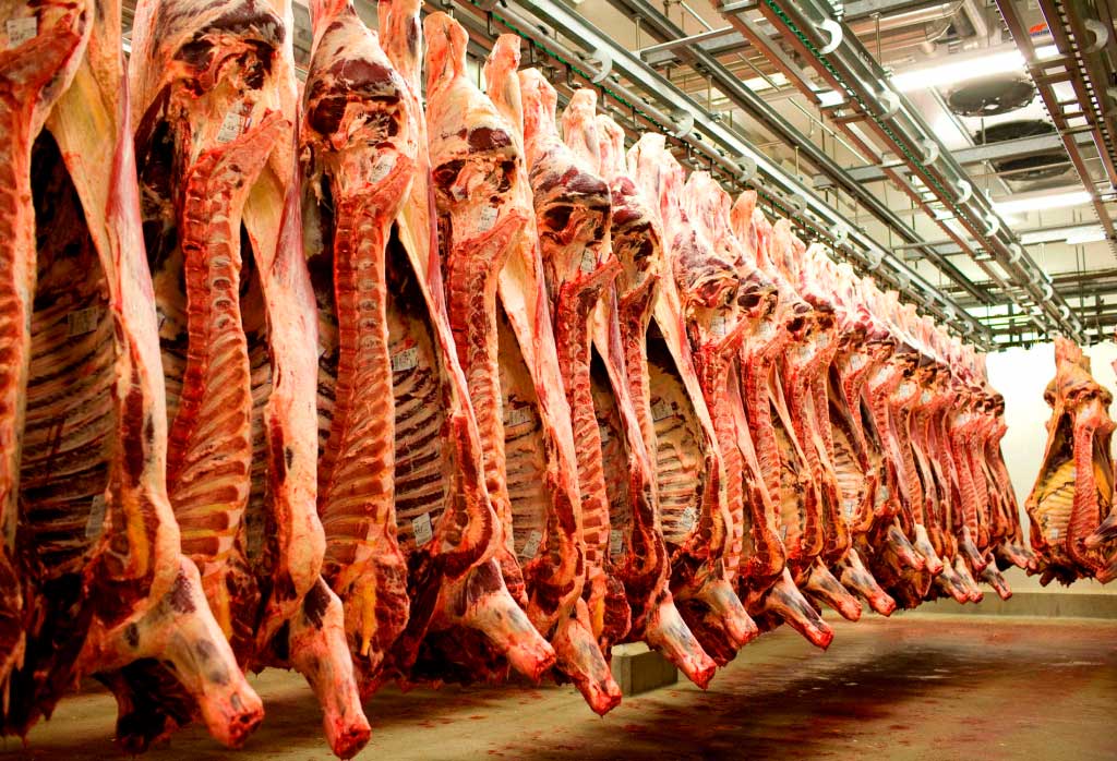 Quais São Os Dois Maiores Importadores De Carne Bovina Brasileira
